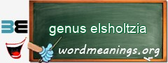 WordMeaning blackboard for genus elsholtzia